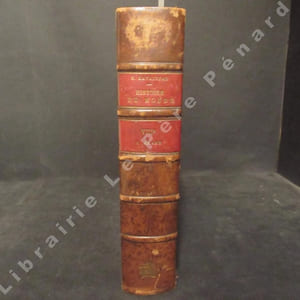 Histoire du Monde. Tome VIII : L'Empire Mongol (1re phase)