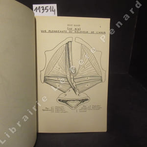 Schémas d'Anatomie en neuf fascicules. Huitième fascicule : Petit Bassin.