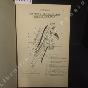 Schémas d'Anatomie en neuf fascicules. Huitième fascicule : Petit Bassin.