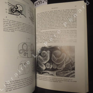 Biology of spiders