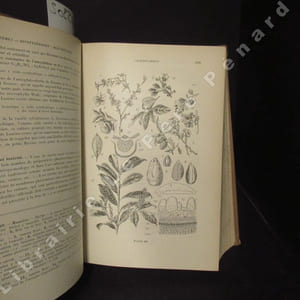 Matières premières usuelles du règne végétal. Thérapeutique - hygiène - industrie. Tome second. (1 volume)