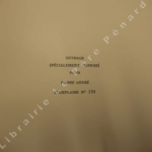 La dame invisible. Roman du XIIe siècle.