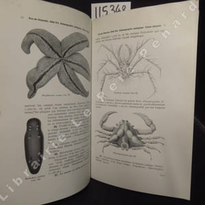 Le Musée Océanographique & Aquarium de Monaco. Guide illustré