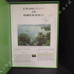 L'Ylang-Ylang un parfum subtil