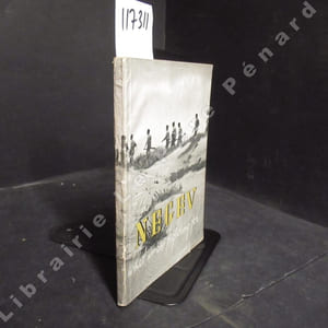 The Negev. What we are fighting for. An Anthology