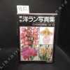           Color Encyclopaedia of Potted Orchids. COLLECTIF