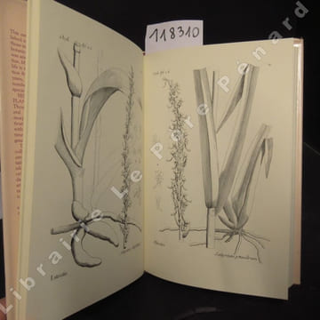 Histoire particulière des plantes orchidées recueillies sur les trois îles australes d'Afrique. A faithful reproduction of the 1822 classic with an ...