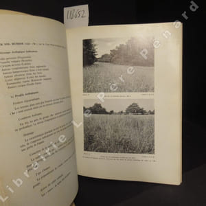 Carte Phyto-écologique et carte de l'occupation des terres, Cartes factorielles de la zone de "1000 hectare" de Sologne. (2 volumes) Notice détaillée. Carte phyto-écologique et carte de l'occupation des terres de Sologne. Feuilles Argent-sur-Sauldre 2 Sud et 5 Sud. Echelle 1/10 000