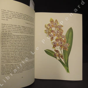 L'Orchidée en Belgique. Exposition organisée par la Bibliothèque royale de Belgique et le Jardin botanique de l'Etat avec la collaboration de la Société royale de Zoologie d'Anvers et le Musée de Mariemont.