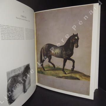 Le bestiaire de Rodolphe II. Cod. min. 129 et 130 de la Bibliothèque nationale d'Autriche.. HAUPT, Herbert - VIGNAU-WILBERG, Thea - IRBLICH, Eva - ...