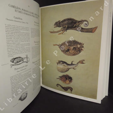 Le bestiaire de Rodolphe II. Cod. min. 129 et 130 de la Bibliothèque nationale d'Autriche.. HAUPT, Herbert - VIGNAU-WILBERG, Thea - IRBLICH, Eva - ...