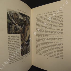 Le Roman de Tristan et Iseut