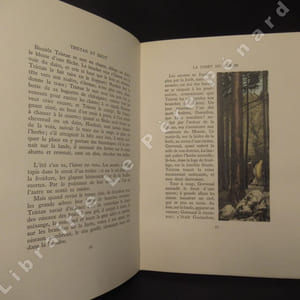 Le Roman de Tristan et Iseut