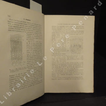 Thèses présentées à la Faculté des Sciences de Paris pour obtenir le grade de Docteur en Sciences Naturelles.1ère Thèse : Anatomie comparée des ...