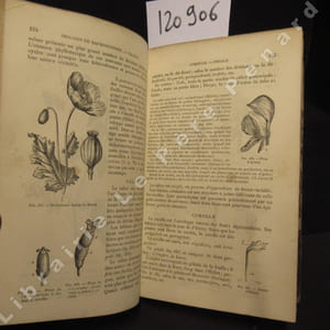 Cours élémentaire de botanique