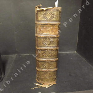 Grand dictionnaire françois et latin, enrichi des meilleurs façons de parler en l'une et l'autre langue; avec des notes de critique et de grammaire composé par ordre du Roy, pour servir aux études de Monseigneur le Dauphin et de messeigneurs les princes. Nouvelle édition reveuë, corrigée, et augmentée considérablement par l'auteur.