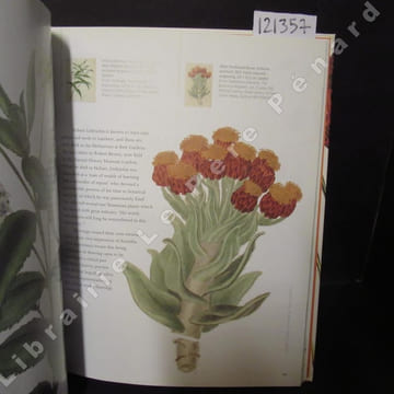 Natural curiosity. Unseen art of the first fleet.. ANEMAAT, Louise