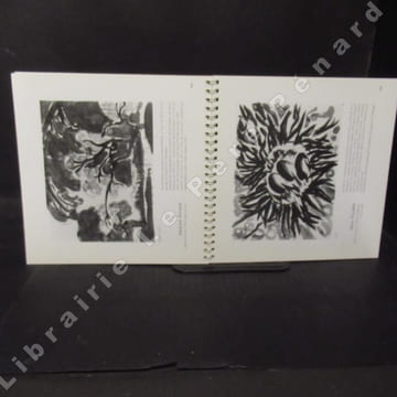 Noirs dessins. 6 juillet - 1 septembre 1996, Centre d'Art Contemporain Lacoux-Hauteville (Ain). 40 artistes.. COLLECTIF