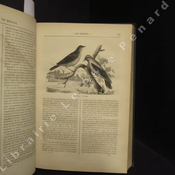 Oeuvres choisies de Buffon. Histoire naturelle des Oiseaux.. BUFFON