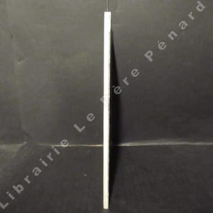 Représentation de l'espace (I). Les différents types de projection en peinture. 