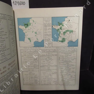 Encyclopédie française du Cheval de Sang . COLLECTIF