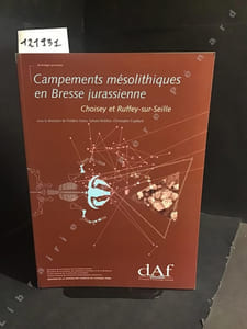 DAF (Documents d'Archéologie Française) N° 92 : Campements mésolithiques en Bresse jurassienne - Choisey, Ruffey-sur-Seille (Jura)