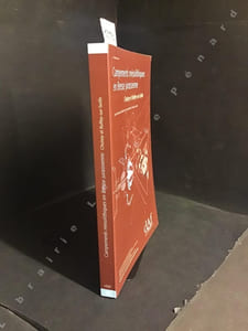 DAF (Documents d'Archéologie Française) N° 92 : Campements mésolithiques en Bresse jurassienne - Choisey, Ruffey-sur-Seille (Jura)