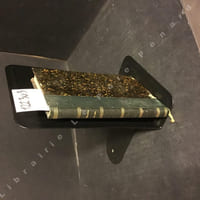 Histoire de France racontée par les contemporains. Philippe le Bel et ses trois fils. Les rois administrateurs. Extraits de Nangis, de Ryshander, de Flandre, de Saint-Denis, de Jean de Saint-Victor, des Mémoires de Pierre Dubois, des chartes et ordonnances de Philippe le Bel, du recueil de Dupuis, etc...