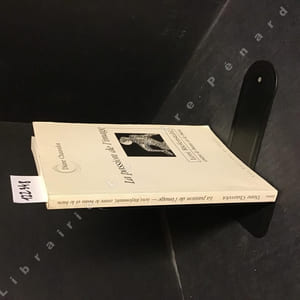 La passion de l'image ou Leni Riefenstahl, entre le beau et le bien