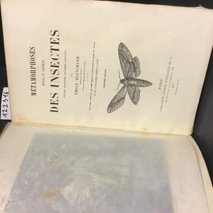 Métamorphoses, moeurs et instincts des insectes. (Insectes, myriapodes, arachnides, crustacés)