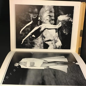Egoïste N° 12 : Tome I : Yannick Noah par Richard Avedon - Tome II : André et Raphaël Glucksmann par Richard Avedon (2 Volumes)