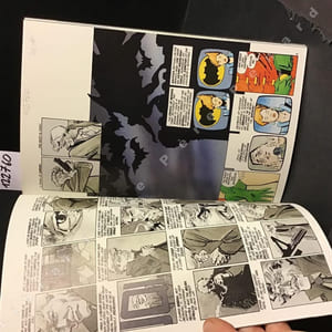BATMAN: THE DARK KNIGHT Book Two. Dark Knight Triumphant.