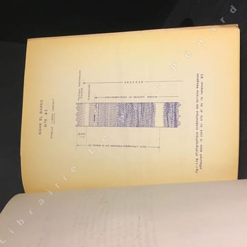 Rapport géologique sur les sites de barrages du Liban Nord. Rapport de pré-reconnaissance géologique pour des sites de barrages sur le Nahr El Bared ...