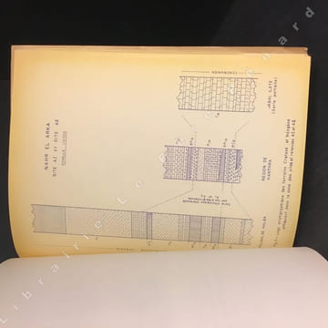 Rapport géologique sur les sites de barrages du Liban Nord. Rapport de pré-reconnaissance géologique pour des sites de barrages sur le Nahr El Bared ...