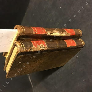 Voyage dans la Régence d'Alger, ou Description géographique, physique, philologique, etc. de cet état. (Deux tomes)