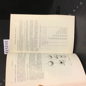 Précis de géologie. Tome 1 : Pétrologie.