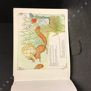 Peter au pays des myrtilles