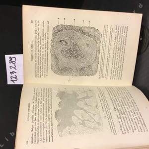 Précis d'anatomie pathologique 