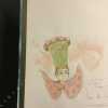 La nef des fous. Tome 2. Pluvior 627.. TURF