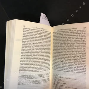 Les antiquités juives - Tome 3 : Livres - Livres VI et VII