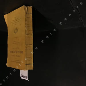 Notes de voyage d'un hussard. Un raid en Asie.