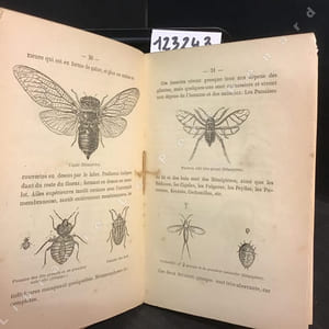 Guide de l'amateur d'insectes, comprenant les généralités sur leur division en ordres, l'indication des ustensiles et les meilleurs procédés pour leur faire la chasse, les époques et les conditions les plus favorables à cette chasse, la manière de les préparer et de les conserver en collections