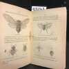 Guide de l'amateur d'insectes, comprenant les généralités sur leur division en ordres, l'indication des ustensiles et les meilleurs procédés pour leur ...