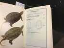 Tous les reptiles et amphibiens d'Europe en couleurs. Arnold, Edwin Nicholas et Burton, John Andrew - Illustrations de D. W. Ovenden 