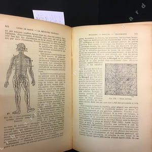 La médecine végétale. Traité théorique et pratique, indispensable dans toutes les familles, enseignant la médecine et l'hygiène, pour connaître, se préserver, soigner et guérir toutes les maladies