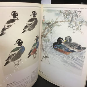Chinese Paintings for beginners - Painting Swimming Fool (Méthode de peinture chinoise)