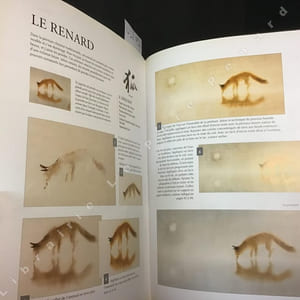 La peinture chinoise - Techniques à l'encre et à l'aquarelle 