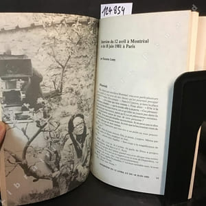 A Montreal. Textes réunis et présentés par Suzanne Lamy et André Roy