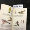 Nos oiseaux - Guide de poche. LPO