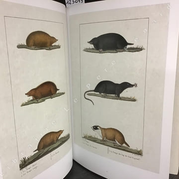 Histoire naturelle de Buffon. COLLECTIF - BUFFON